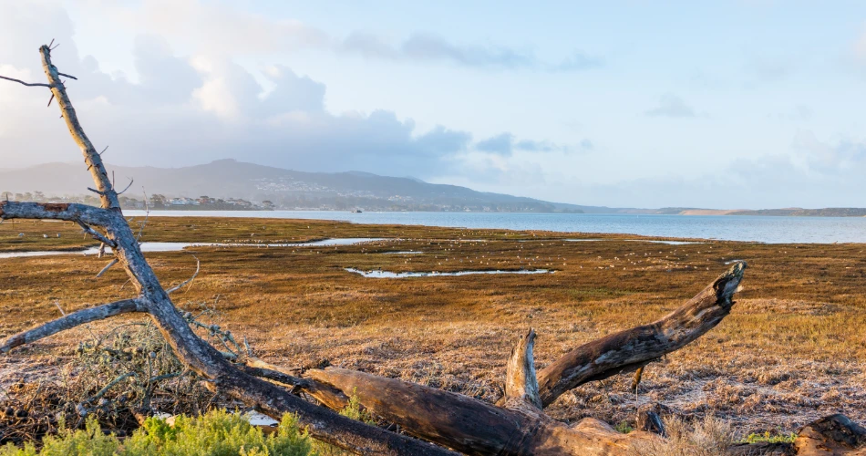 Budget-Friendly Activities in Morro Bay for Smart Travelers