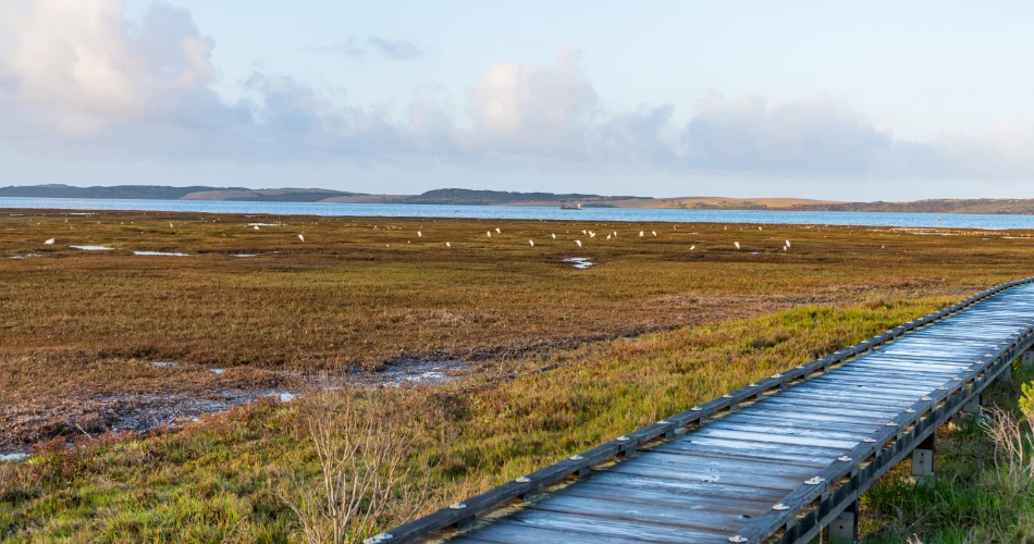 Morro Bay Instagram Guide: Most Photogenic Places You Must Visit