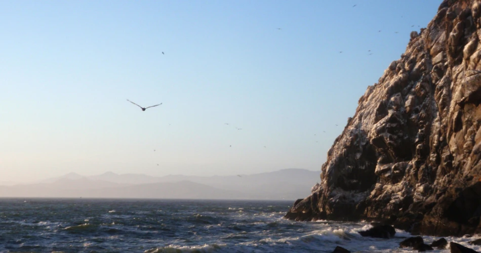 Best Beaches in Morro Bay: Quiet Shores, Scenic Views & Hidden Coastal Spots